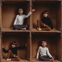 Cardboard boxes