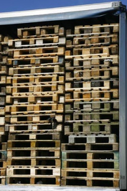 Pallets for Free